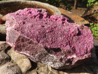 Natural Extra Large Pink Salrose Specimen  x 1 From Kakanda, Congo - Toprock Gemstones and Minerals 