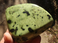 Polished Green Leopard Stone Free Forms  x 6 From Congo