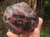 Polished One Side Polished Rhodonite Free Forms  x 4 From Madagascar - TopRock