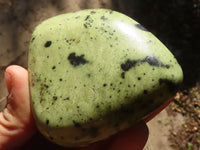 Polished Green Leopard Stone Free Forms  x 6 From Congo