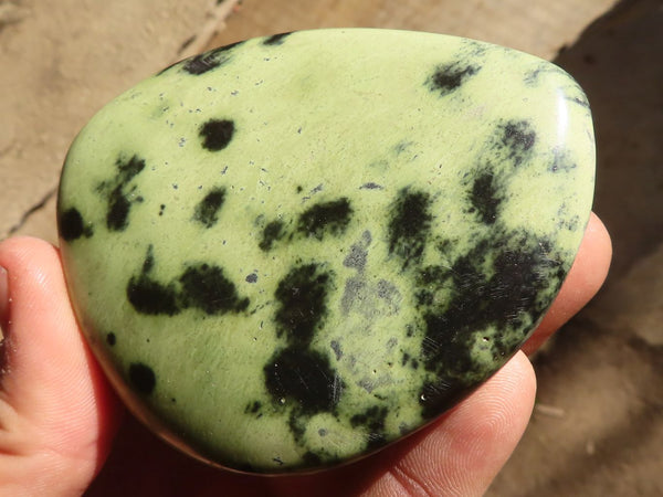 Polished Green Leopard Stone Free Forms  x 6 From Congo