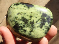 Polished Green Leopard Stone Free Forms  x 6 From Congo