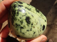 Polished Green Leopard Stone Free Forms  x 6 From Congo