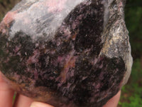 Polished One Side Polished Rhodonite Free Forms  x 4 From Madagascar - TopRock