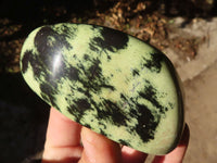 Polished Green Leopard Stone Free Forms  x 6 From Congo