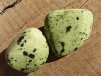 Polished Green Leopard Stone Free Forms  x 6 From Congo