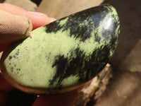 Polished Green Leopard Stone Free Forms  x 6 From Congo