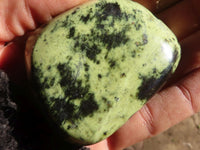 Polished Green Leopard Stone Free Forms  x 6 From Congo