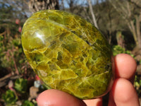 Polished Green Opal Galet / Palm Stones x 12 From Antsirabe, Madagascar