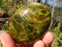 Polished Green Opal Galet / Palm Stones x 12 From Antsirabe, Madagascar