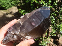 Natural Smokey Quartz Crystals  x 3 From Malawi - TopRock