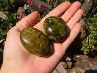 Polished Green Opal Galet / Palm Stones x 12 From Antsirabe, Madagascar