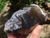 Natural Smokey Quartz Crystals  x 3 From Malawi - TopRock