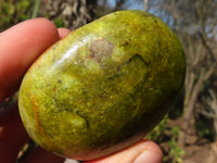 Polished Green Opal Galet / Palm Stones x 12 From Antsirabe, Madagascar