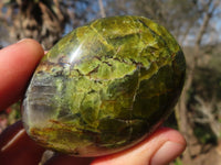 Polished Green Opal Galet / Palm Stones x 12 From Antsirabe, Madagascar