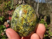 Polished Green Opal Galet / Palm Stones x 12 From Antsirabe, Madagascar