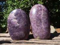 Polished Purple Lepidolite Standing Free Forms  x 5 From Madagascar - TopRock