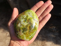 Polished Dendritic Green Opal Standing Free Forms  x 3 From Madagascar - Toprock Gemstones and Minerals 