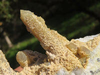 Natural Golden Limonite "Solar" Spirit Quartz Clusters x 5 From Southern Africa - TopRock