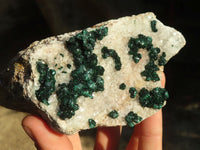 Natural Rare Ball Malachite On Drusi Quartz & Dolomite Matrix  x 2 From Kambove, Congo - Toprock Gemstones and Minerals 