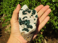 Natural Rare Ball Malachite On Drusi Quartz & Dolomite Matrix  x 2 From Kambove, Congo - Toprock Gemstones and Minerals 