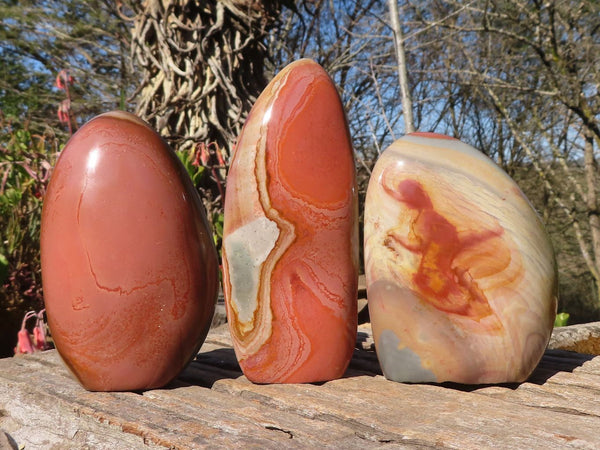 Polished  Polychrome / Picasso Jasper Standing Free Forms  x 3 From Mahajanga, Madagascar