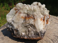 Natural Baryte Large Well Formal Bladed Formation x 1 From Tenke Fungurume, Congo - TopRock