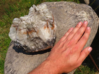 Natural Baryte Large Well Formal Bladed Formation x 1 From Tenke Fungurume, Congo - TopRock