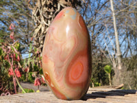 Polished  Polychrome / Picasso Jasper Standing Free Forms  x 3 From Mahajanga, Madagascar