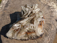 Natural Baryte Large Well Formal Bladed Formation x 1 From Tenke Fungurume, Congo - TopRock