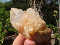 Natural Large Candle Quartz Crystals x 6 From Madagascar - Toprock Gemstones and Minerals 