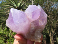 Natural Jacaranda Amethyst Crystals  x 6 From Mumbwa, Zambia - Toprock Gemstones and Minerals 