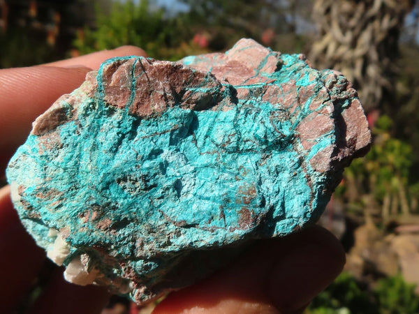 Natural Rough Blue Shattuckite Specimens x 13 From Kaokoveld, Namibia