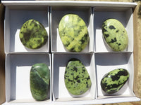 Polished Large Leopard Stone Gallets  x 6 From Zimbabwe - Toprock Gemstones and Minerals 