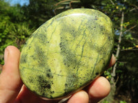 Polished Large Leopard Stone Gallets  x 6 From Zimbabwe - Toprock Gemstones and Minerals 