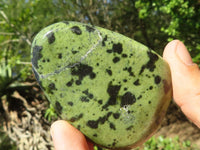 Polished Large Leopard Stone Gallets  x 6 From Zimbabwe - Toprock Gemstones and Minerals 