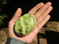 Polished Large Leopard Stone Gallets  x 6 From Zimbabwe - Toprock Gemstones and Minerals 