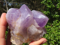 Natural Jacaranda Amethyst Crystals  x 6 From Mumbwa, Zambia - Toprock Gemstones and Minerals 