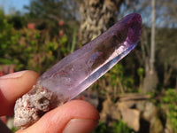 natural Smokey Window Amethyst Crystals  x 35 From Chiredzi, Zimbabwe