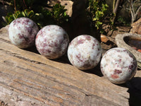 Polished Rubellite Pink Tourmaline Matrix Spheres x 4 From Madagascar