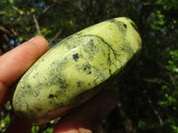 Polished Large Leopard Stone Gallets  x 6 From Zimbabwe - Toprock Gemstones and Minerals 