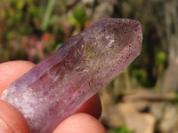 natural Smokey Window Amethyst Crystals  x 35 From Chiredzi, Zimbabwe