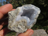 Natural Blue Lace Agate Geode Specimens  x 24 From Nsanje, Malawi - TopRock