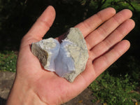 Natural Blue Lace Agate Geode Specimens  x 24 From Nsanje, Malawi - TopRock