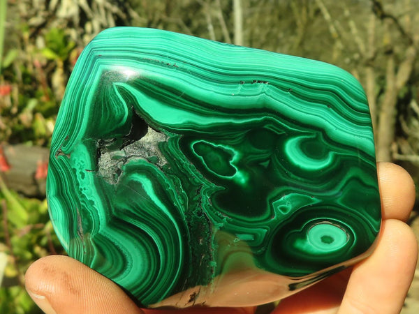 Polished  Flower Banded Malachite Free Forms  x 3 From Congo