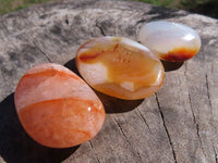 Polished Carnelian Gallets With Natural Vugs & Crystalline Features x 24 From Madagascar - TopRock