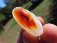 Polished Carnelian Gallets With Natural Vugs & Crystalline Features x 24 From Madagascar - TopRock