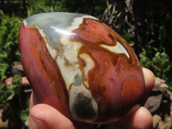 Polished Polychrome / Picasso Jasper Domes  x 6 From Madagascar - TopRock