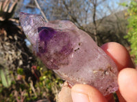 Natural Single Window Amethyst Crystals  x 12 From Chiredzi, Zimbabwe