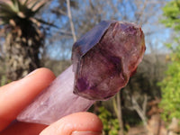 Natural Single Window Amethyst Crystals  x 12 From Chiredzi, Zimbabwe